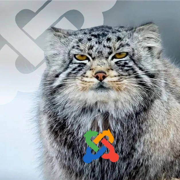 Обновление WT Bootstrap image slider v.3.0.0.