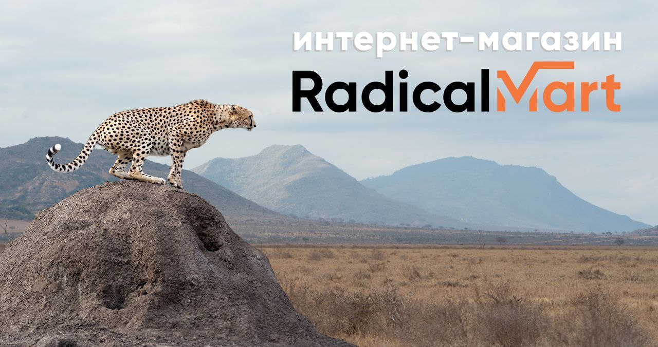 Сегодня 29.12